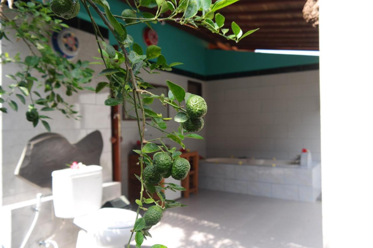 1000 Dream Bungalow Lovina  Luaran gambar